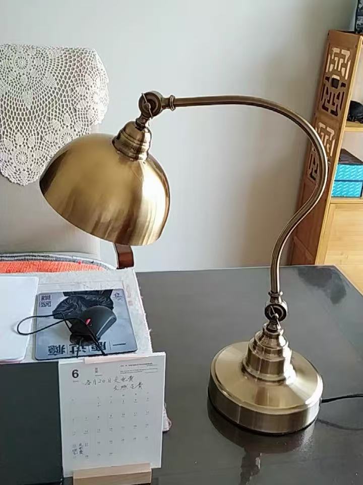 Lampioo 20" Antique Metallic LED Desk Lamp with Adjustable Gooseneck