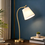 Lampioo Metal Gooseneck Desk Lamp with Cone Fabric Shade