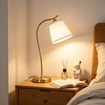 Lampioo Metal Gooseneck Desk Lamp with Cone Fabric Shade
